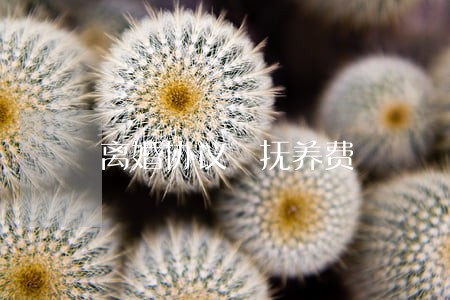 离婚协议 抚养费 离婚协议 抚养费